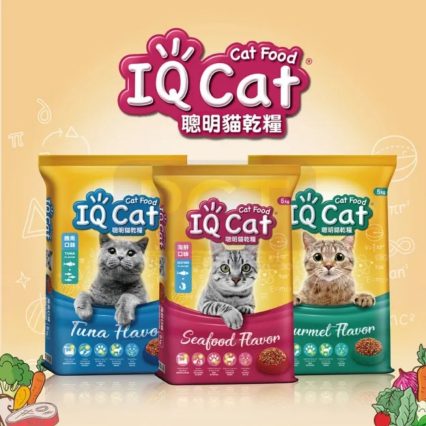 IQ Cat聰明貓