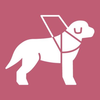 老犬餐罐