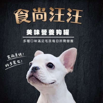 食尚汪汪