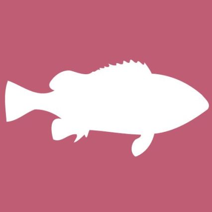 魚